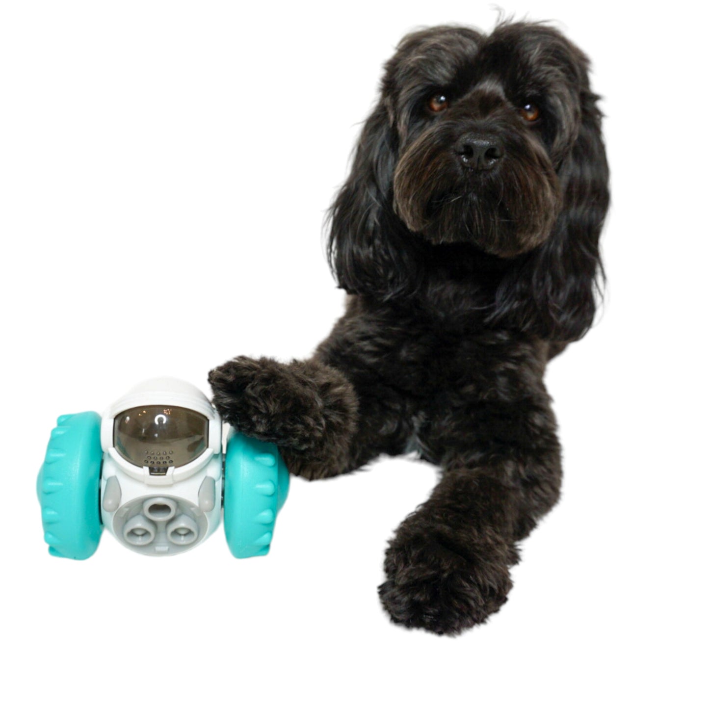 Pet Toy Treat Dispenser