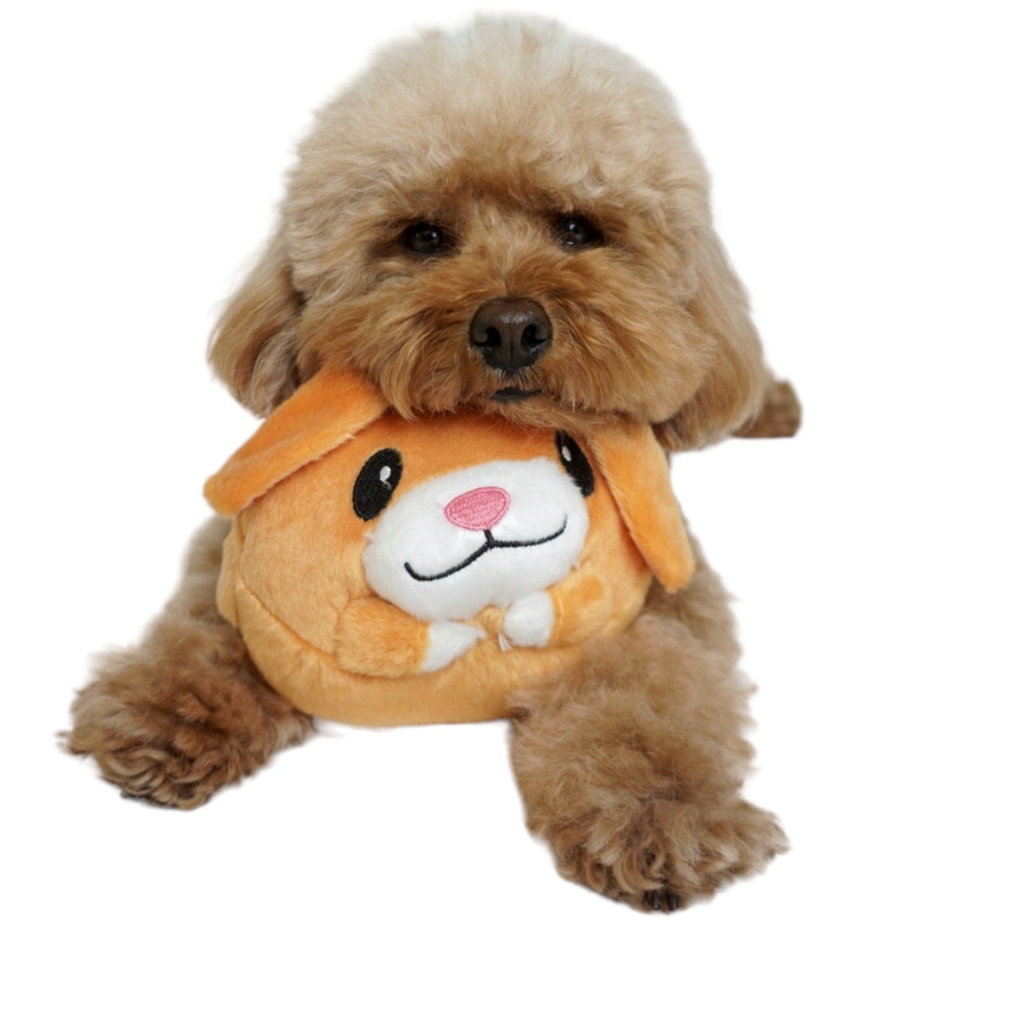 Interactive Pet Toy