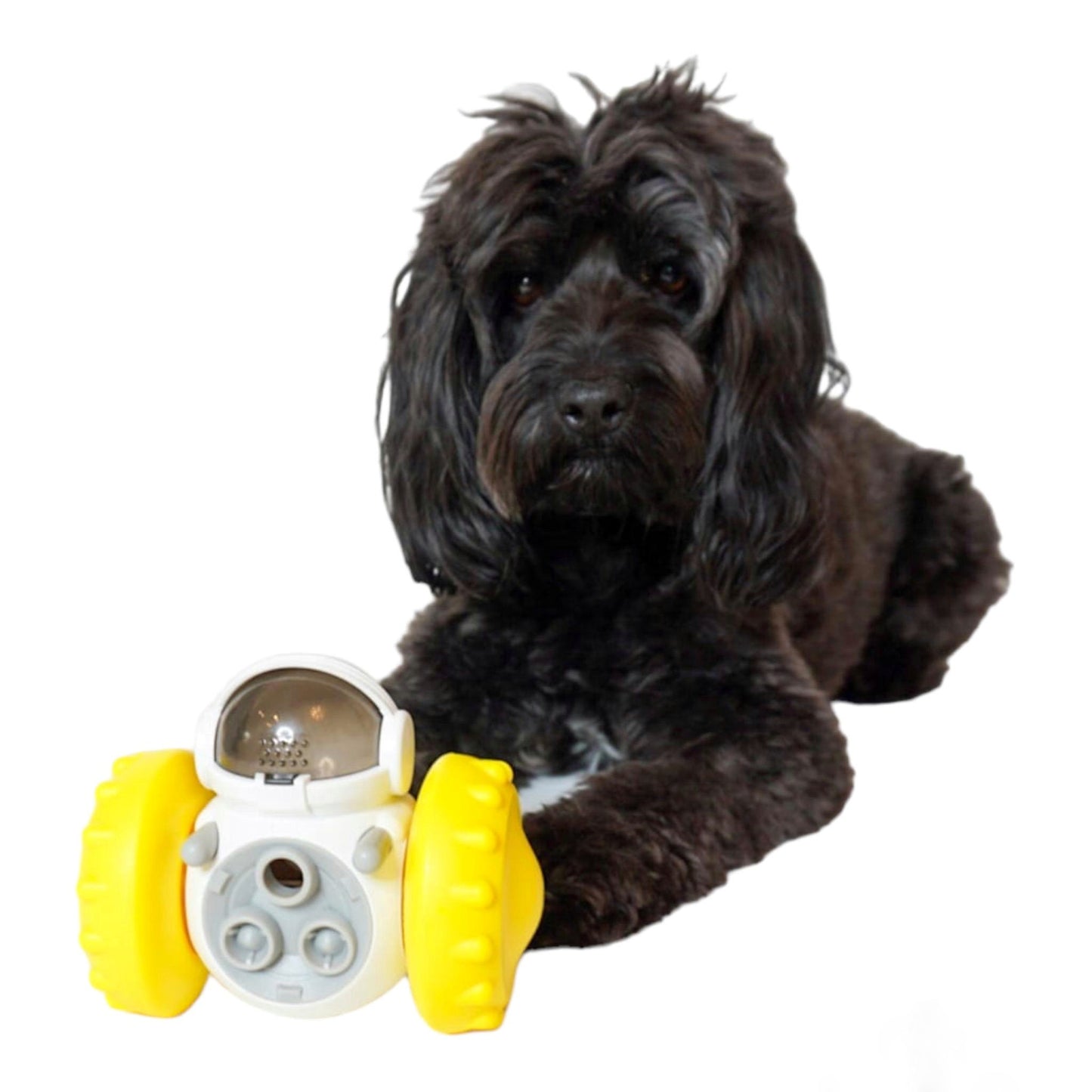 Pet Toy Treat Dispenser